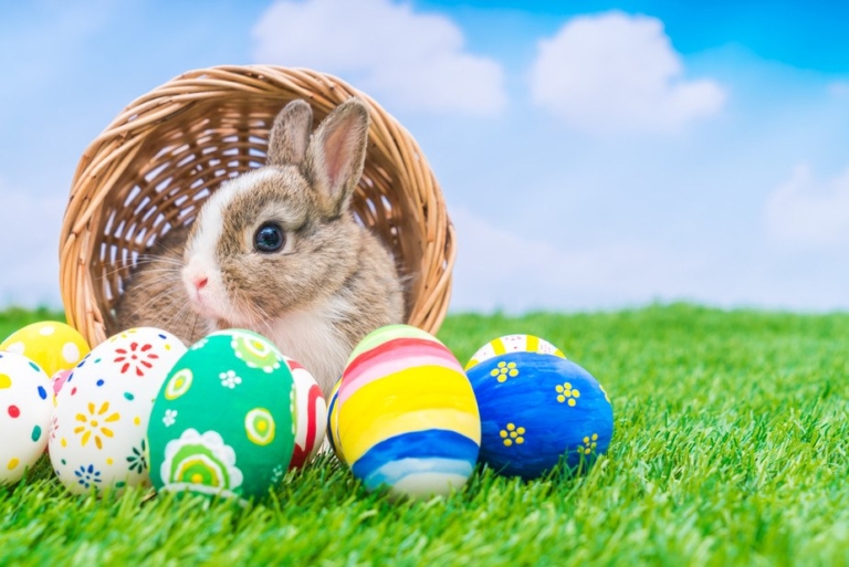 A cute bunny partially inside a wicker basket surrounded by colorful decorated Easter eggs, on green grass.