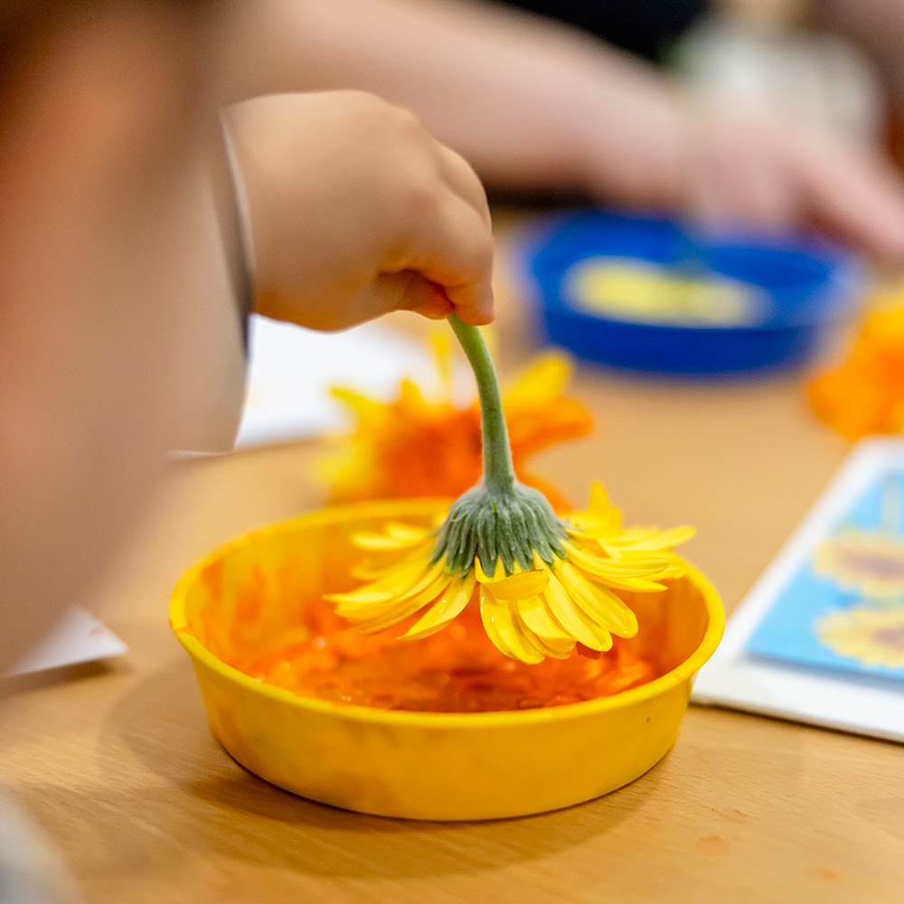 Building Future Innovators Through STEM