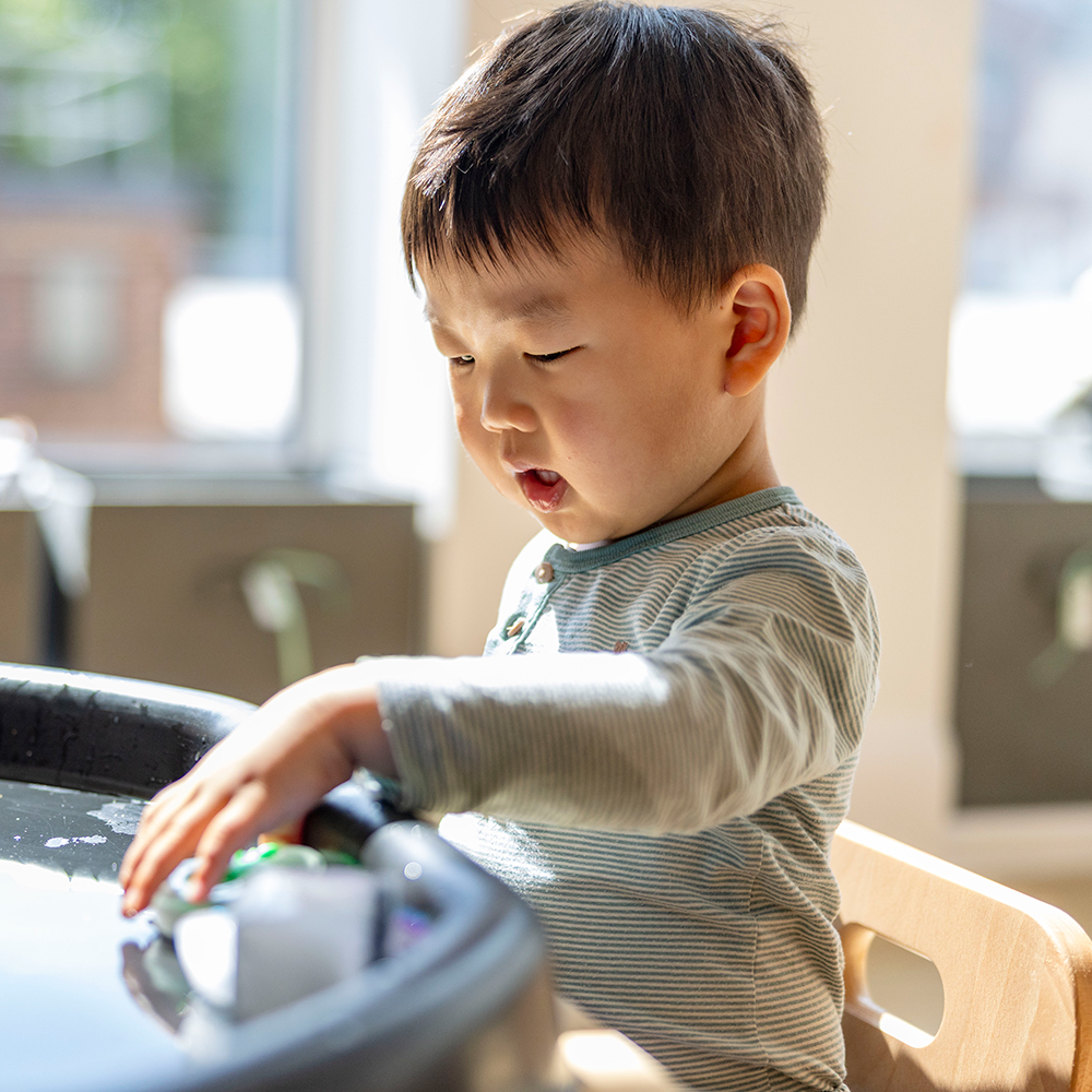 Outdoor Play Builds a Connection With Nature