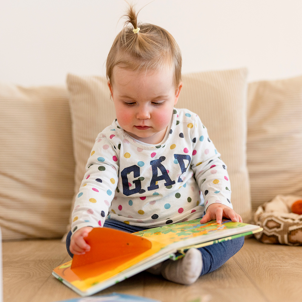 Your Toddler Is Safe Throughout the Day
